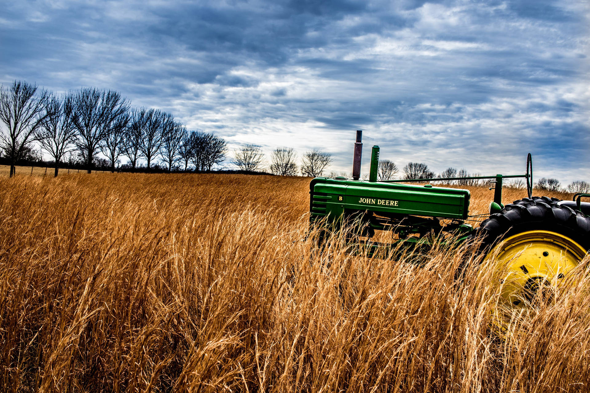 Shining a Light